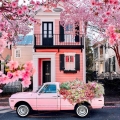 Burst of Southern Charm: Springtime in Charleston
