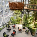 Jeff Bezos’ Amazon Spheres is Part Rain Forest and Part Office Complex