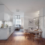 Stylish 420 Square Foot Small Apartment With Modern Scandinavian Design