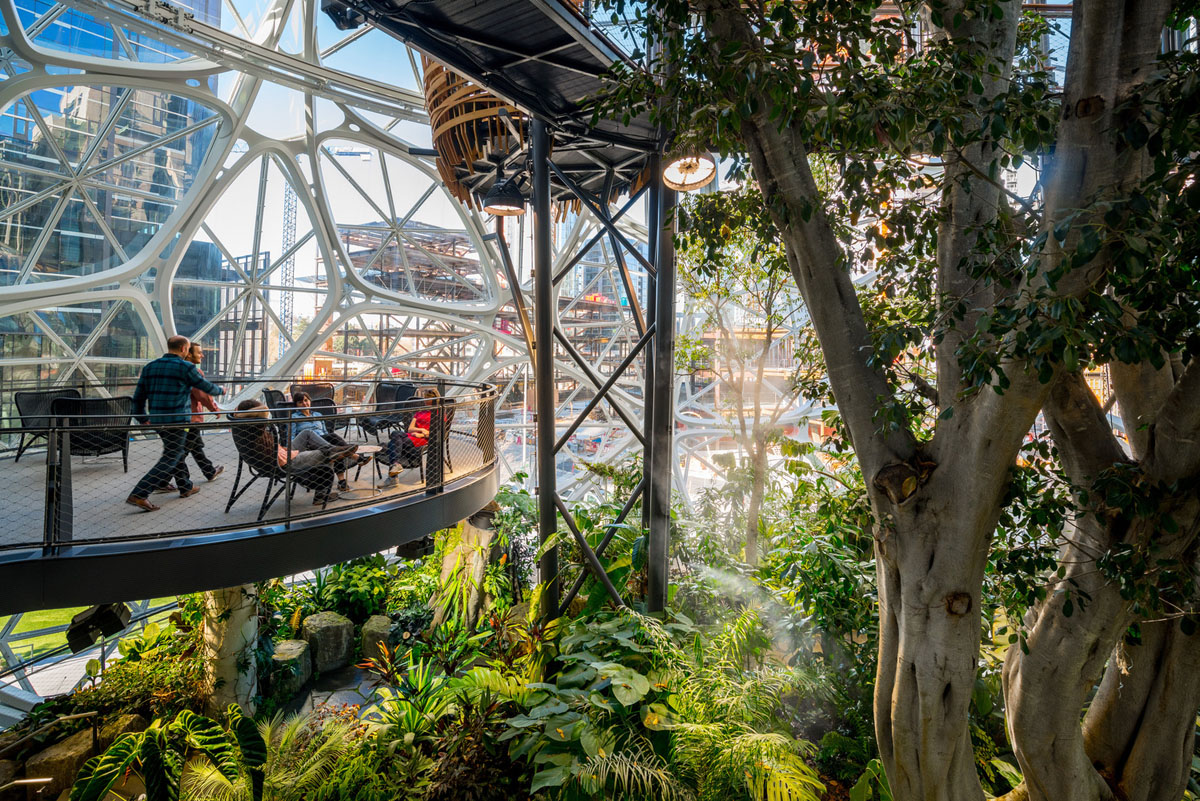 Amazon’s Iconic Glass-Enclosed Globes at the Seattle Headquarters