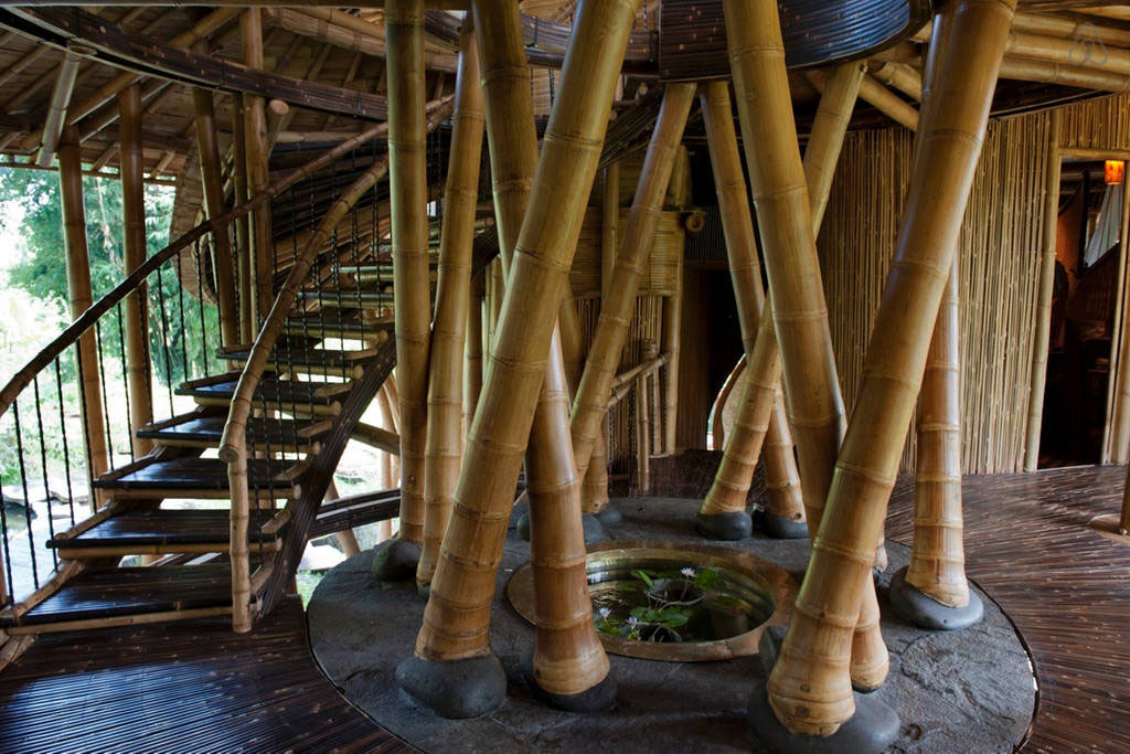 Bamboo-House_20