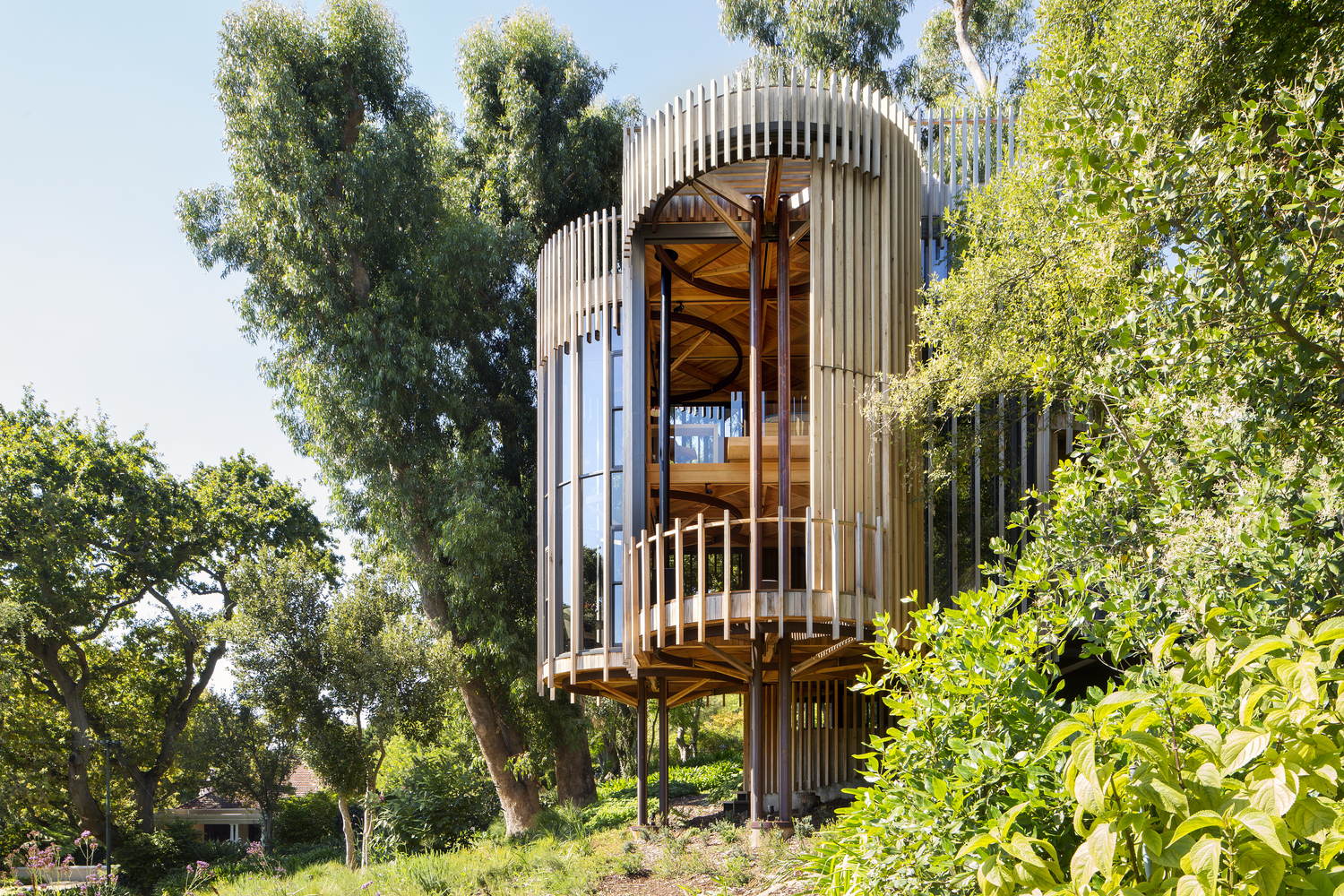 Contemporary-Tree-House-Cape-Town-South-Africa_1