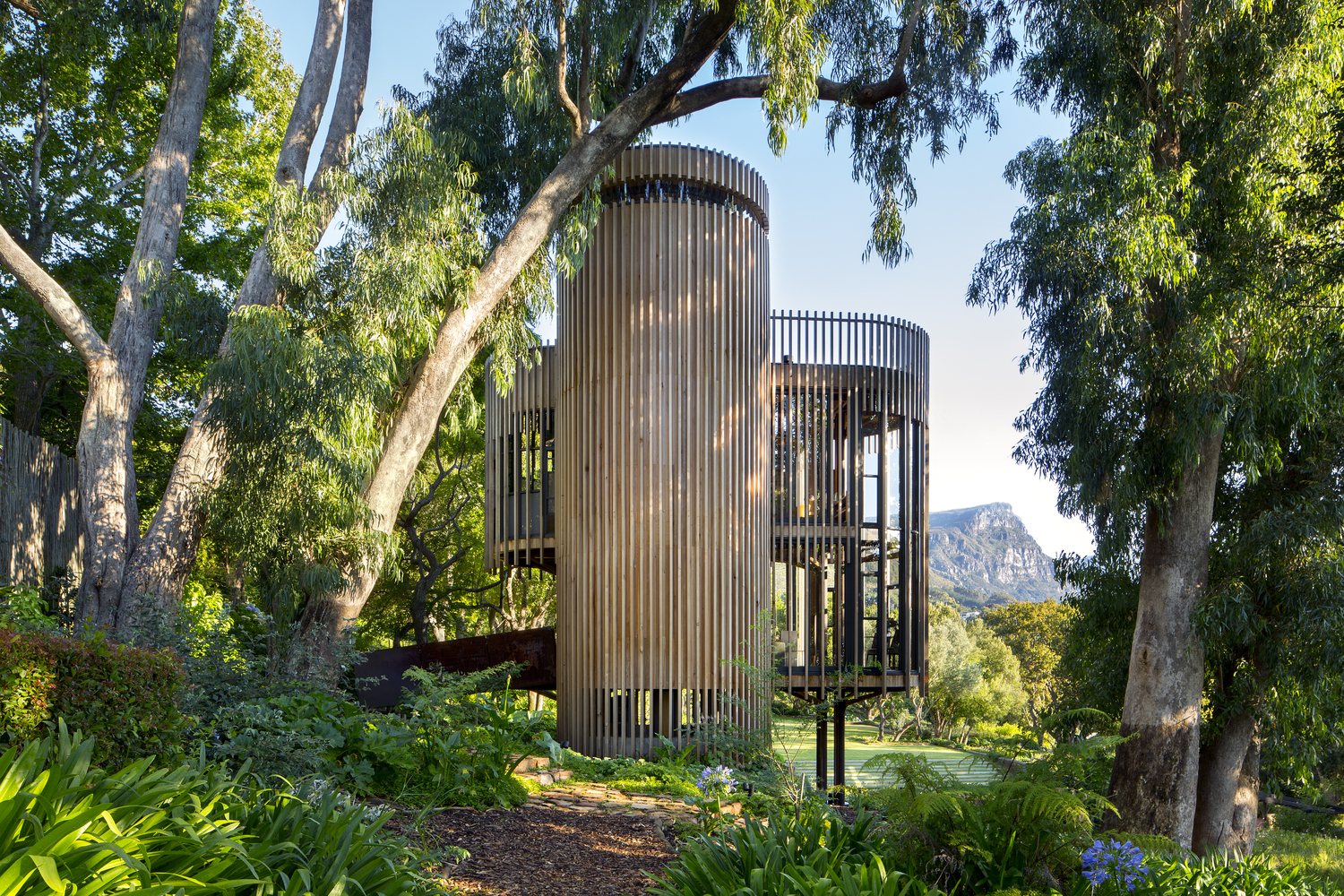 Contemporary-Tree-House-Cape-Town-South-Africa_4