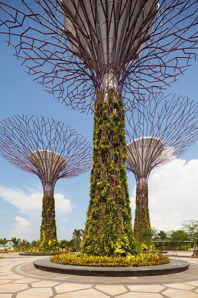 Gardens-By-The-Bay-Singapore_12 Supertrees
