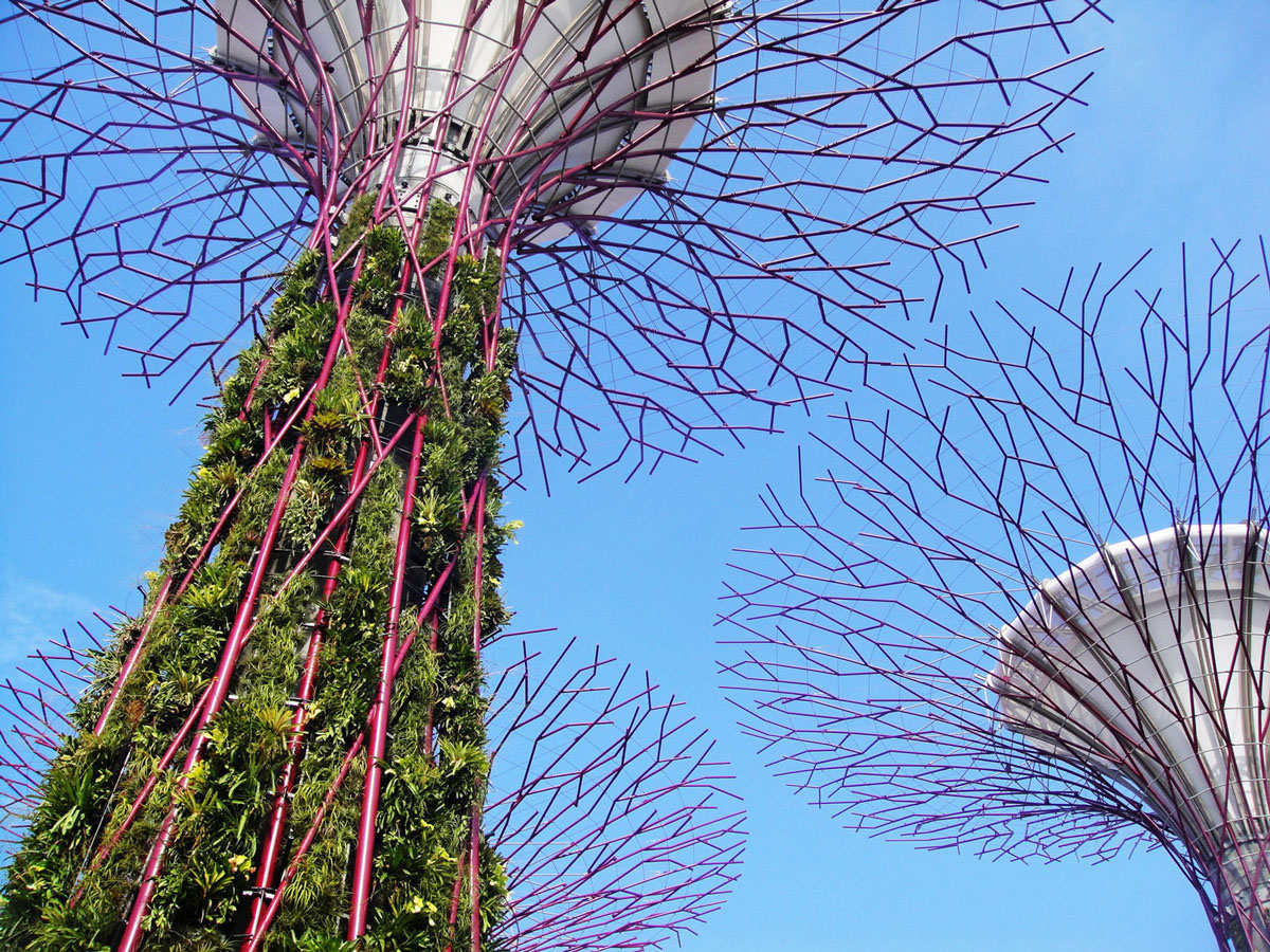 Gardens-By-The-Bay-Singapore_13