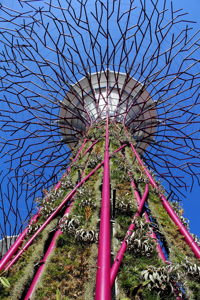 Gardens-By-The-Bay-Singapore_14