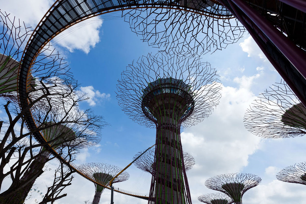 Gardens-By-The-Bay-Singapore_15