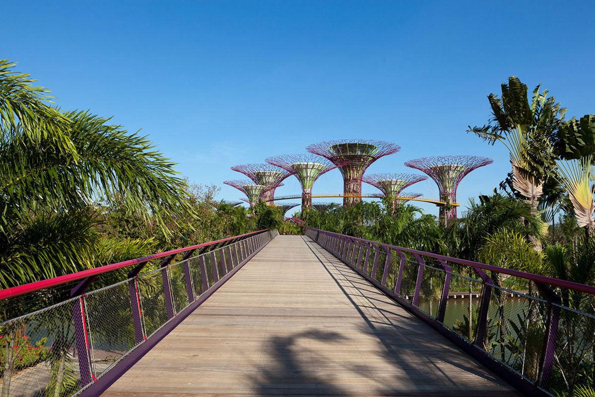 Gardens-By-The-Bay-Singapore_8