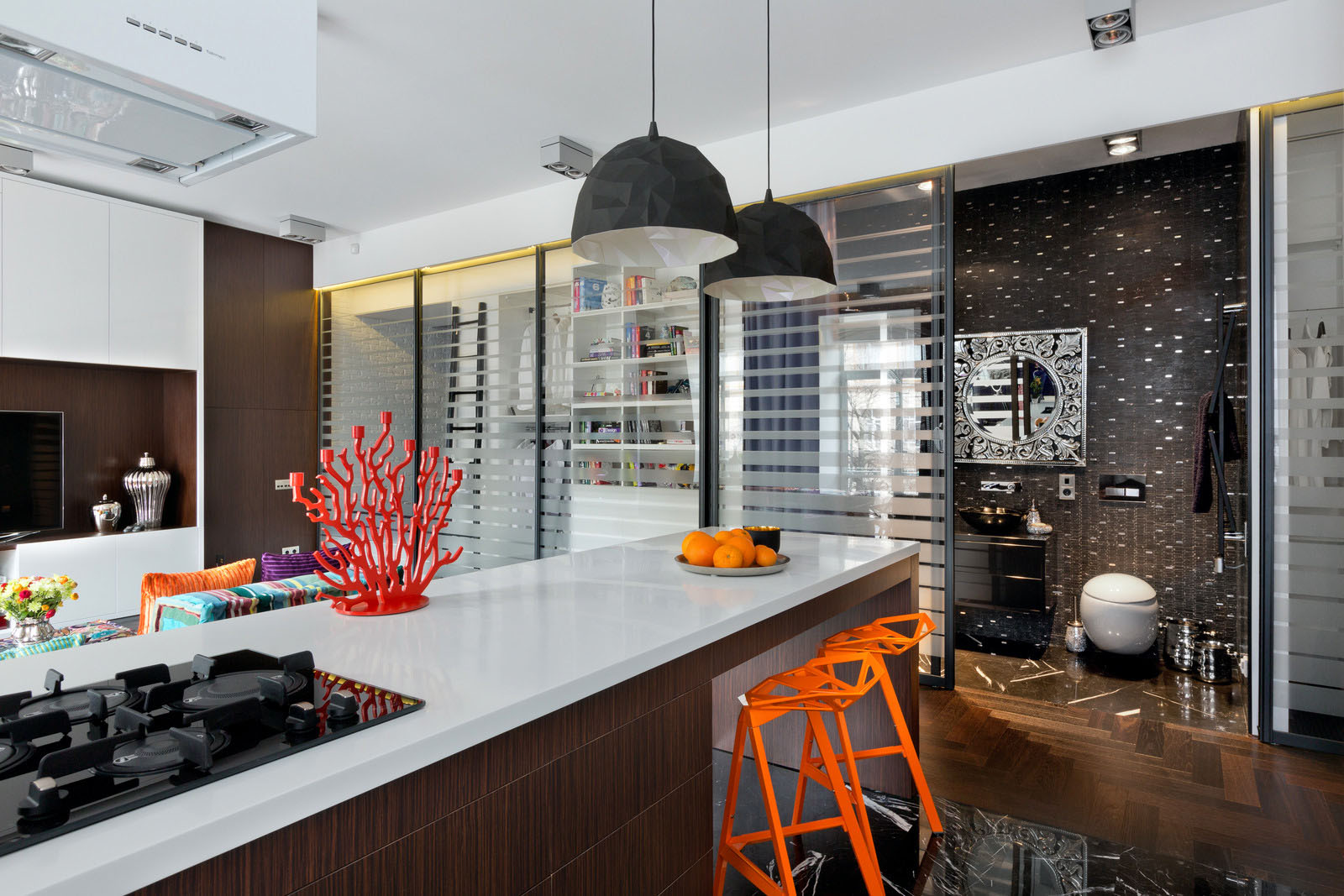 Kiev-Glass-Compartment-Apartment_6
