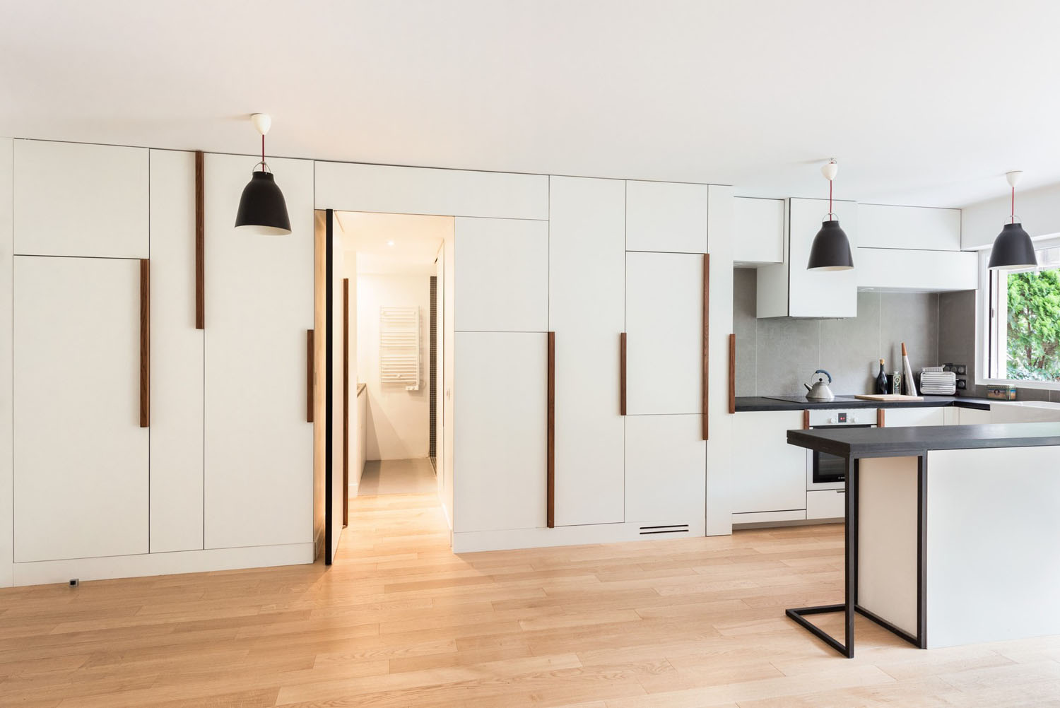 Minimalist-570-sq-ft-One-Bedroom-Apartment-Paris_2