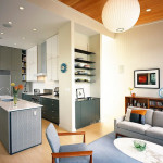 Gorgeous Interior Remodelling Of A 19th Century Two-Flat Edwardian House