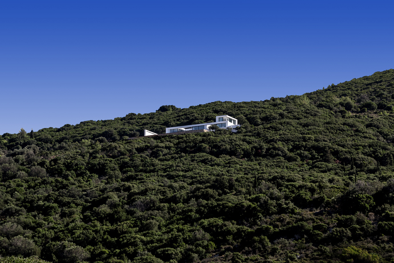 Olivier-Dwek-House-T_2