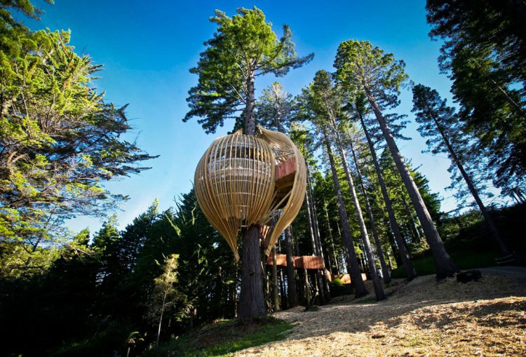 Redwoods-Yellow-Treehouse_1