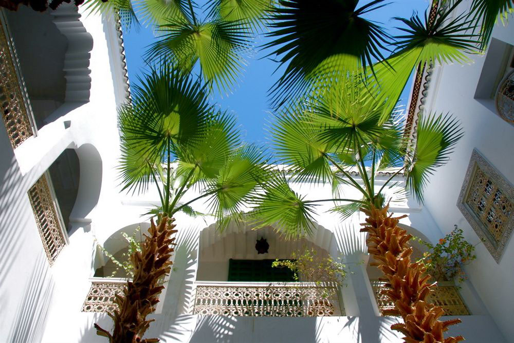 Riad-Vert_3