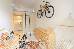 Micro Apartment Design