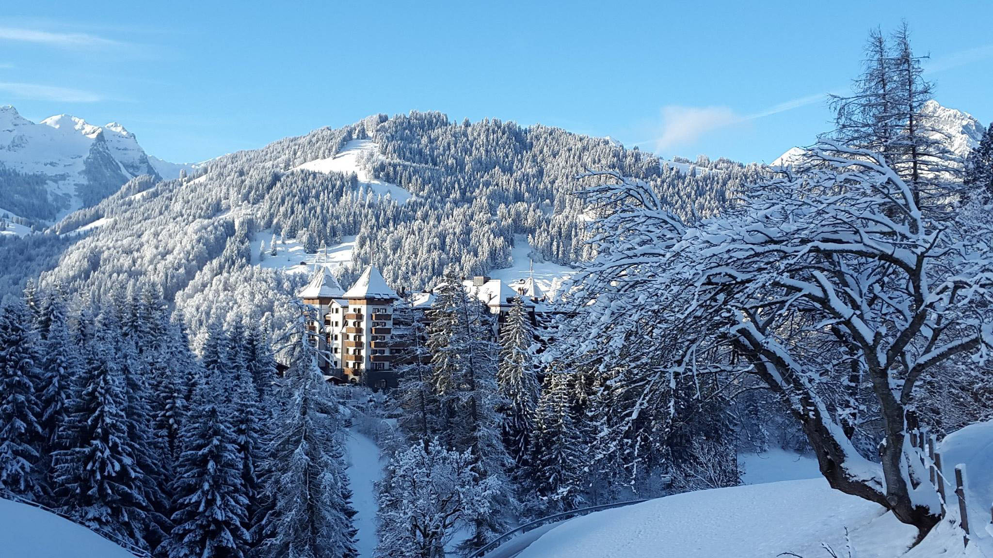 The-Alpina-Gstaad_21