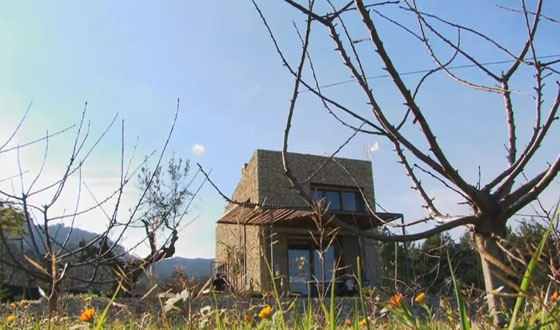 Tiny-Stone-Toolshed-Home_1